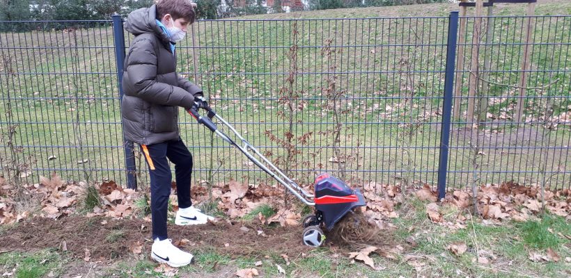 Die Schulgarten-AG am GBG