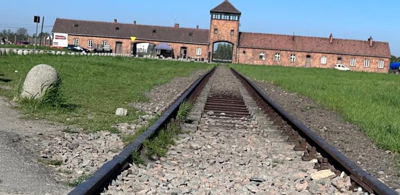 Seid nicht gleichgültig, denn Gleichgültigkeit tötet!