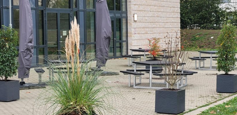 Neugestaltung der Mensaterasse